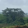 chicuavlog