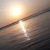 silenttears586