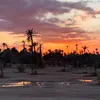 najnaj869
