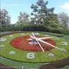 rozrozasalma
