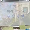yooncy011