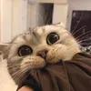 hihellohey110