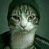 msudjfb