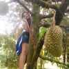 sunflower_onnie