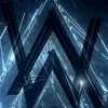 wiki317