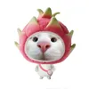 kocoten_526