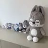 kassy_doki