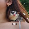 mysugaranna