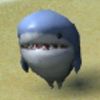 suboptimalshark