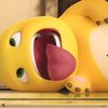 apin_mphin