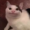 cheesmile0
