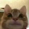 galuhhhdk