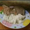 aanbenya