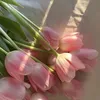 _phuong_bong_