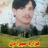 farrukhabbasi03