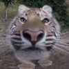 marie_12355