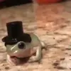 frogwithablackhat