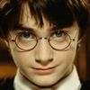 harrypotter07315972