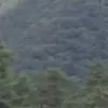 tenkuuuuuuu_