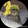 trong070612