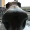 maksmaksym2