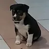santyparra11