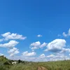 alina.malina424