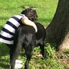 sophiagrace0505