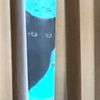 o__o0__0