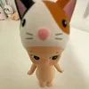 _kmdzx