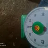 ngngnvtl