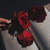roses_...aesthetics