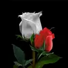 maansha1234