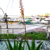 nguyendinhnham0