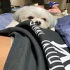 ry_o119