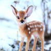 nur_gozlum_3838