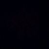 nanda_fernanda.t