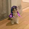 _.zahyn
