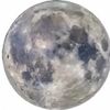 drinkingthemoon