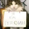 khltt1f