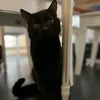 ellie..oooo