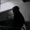 mailo_depzai