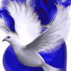 usertiktok.comuser053