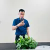 hoangtandb0