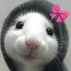 simcoki