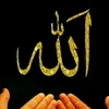 nazli_708