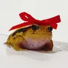 mangothefrog