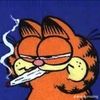eatmywholeass1312
