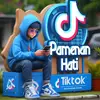 radenmaznotoajie