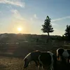 _cyjcsb_